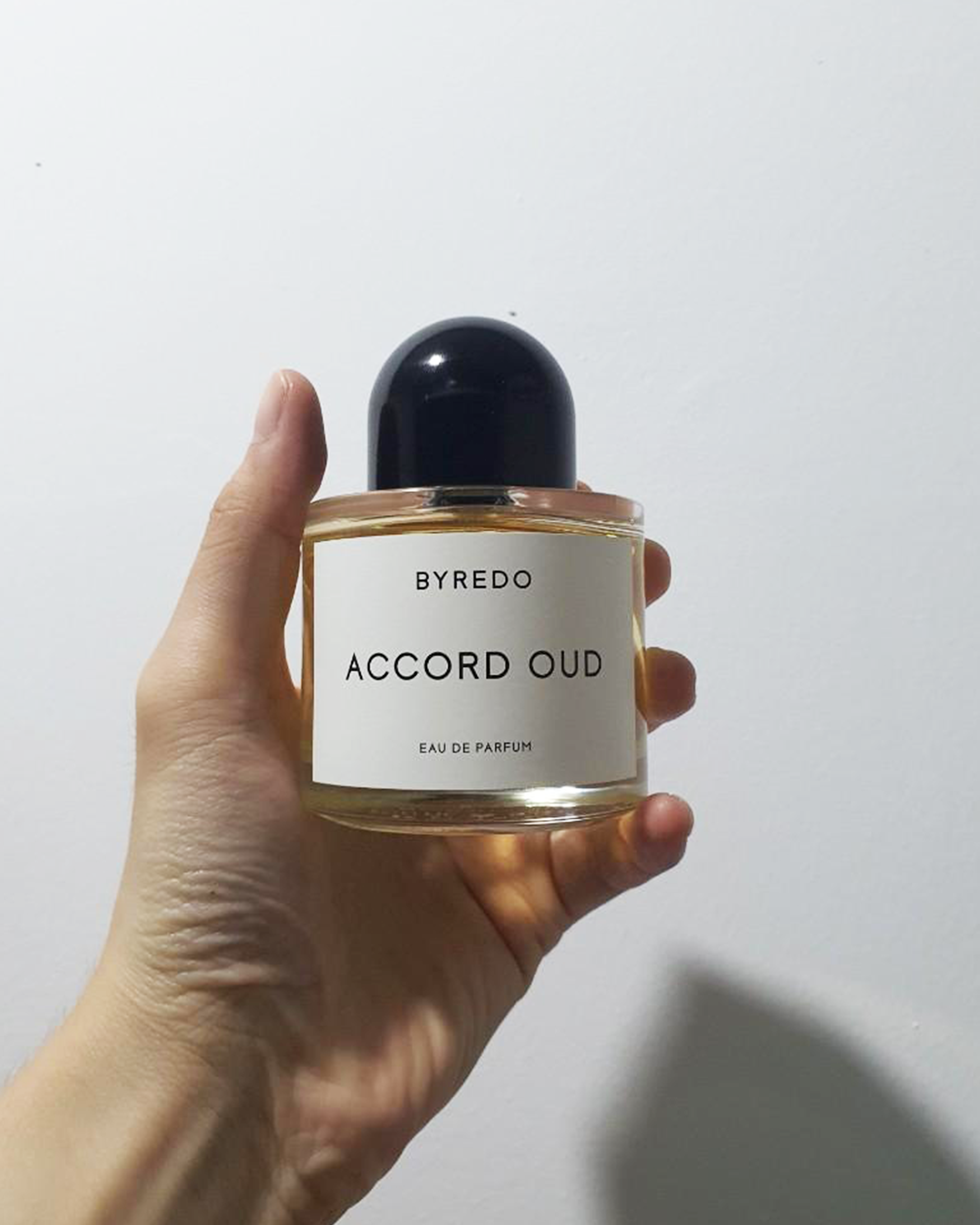 Accord Oud 100ml EDP