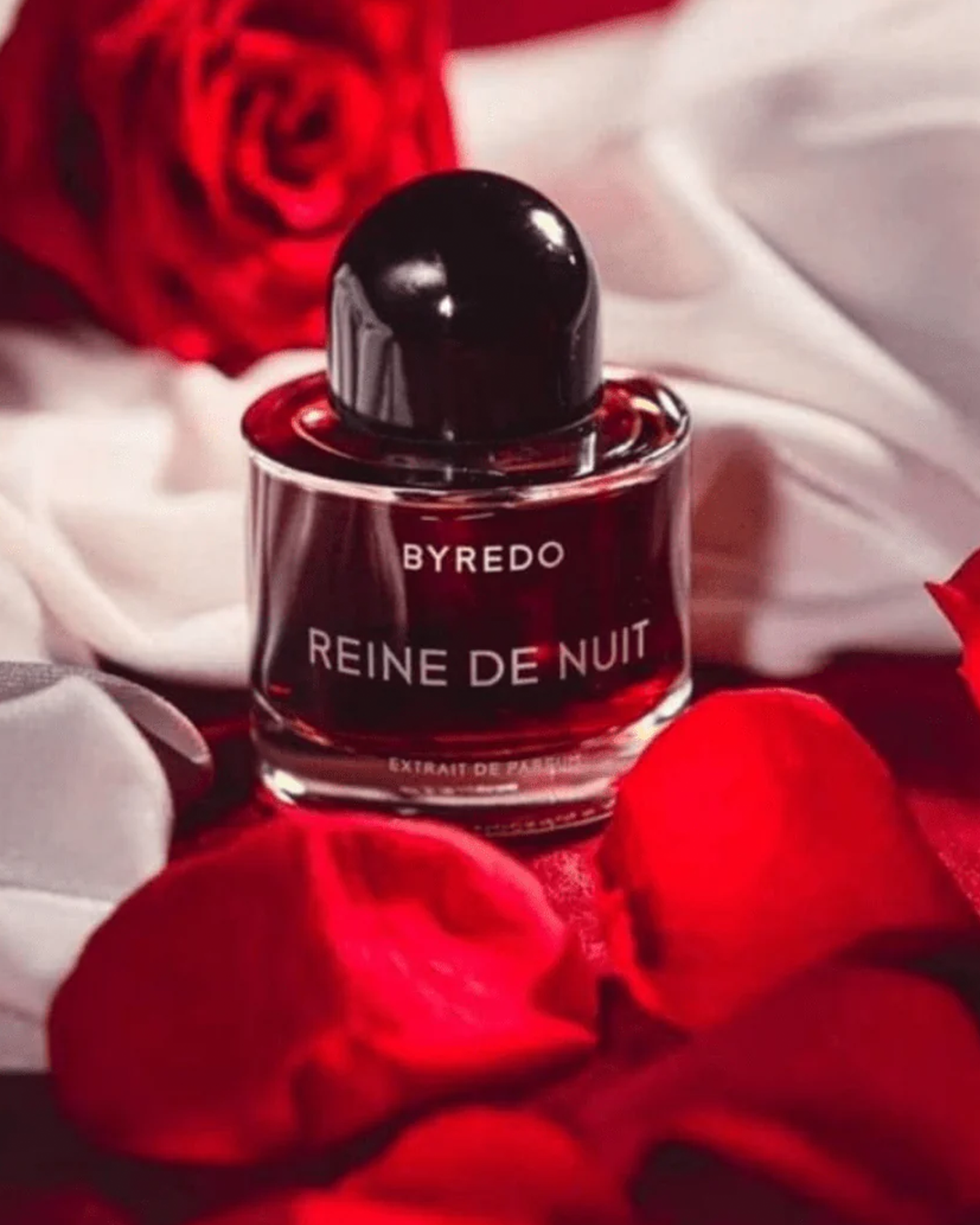 Reine de Nuit 50ml Extrait