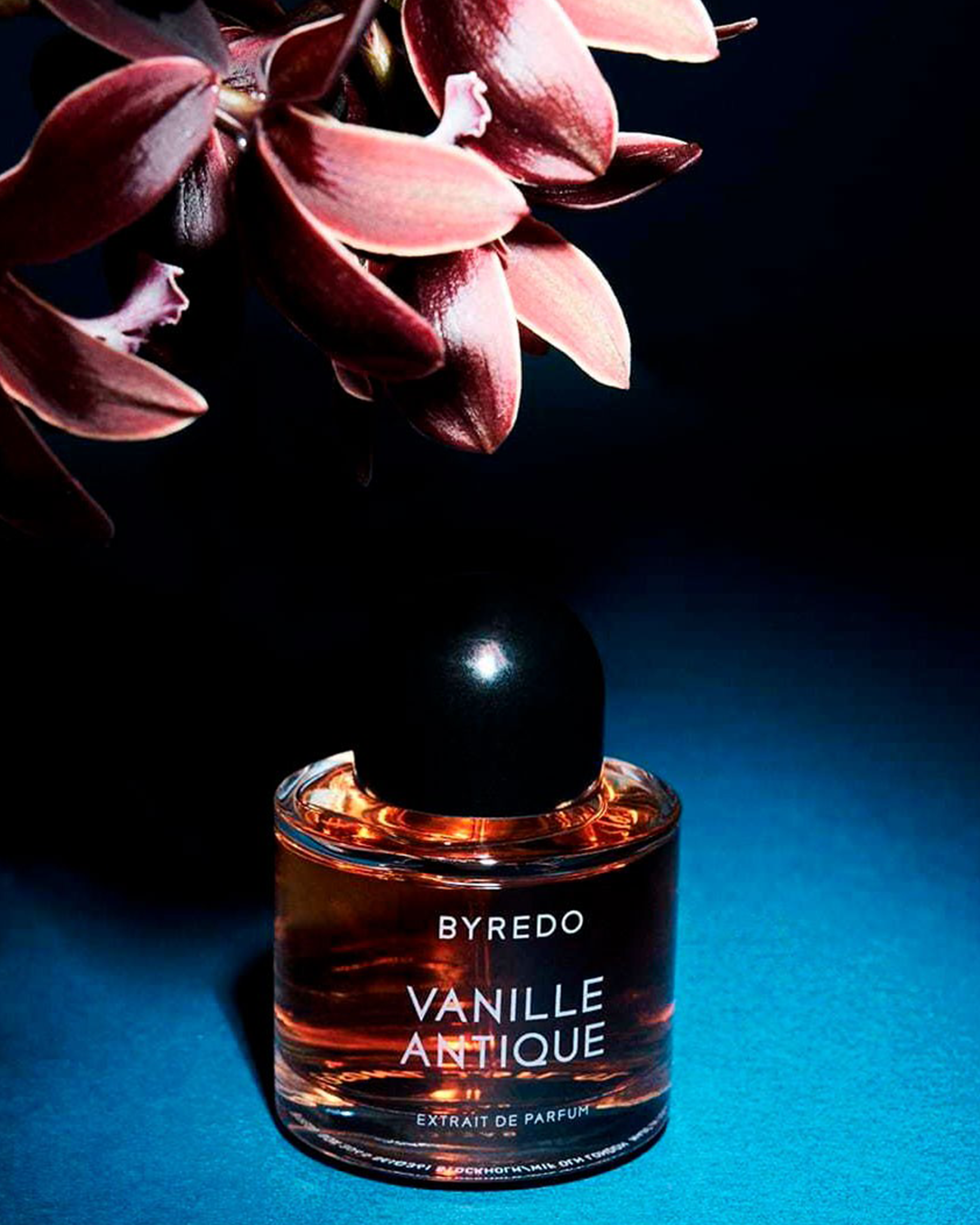 Vanille Antique 50ml Extrait