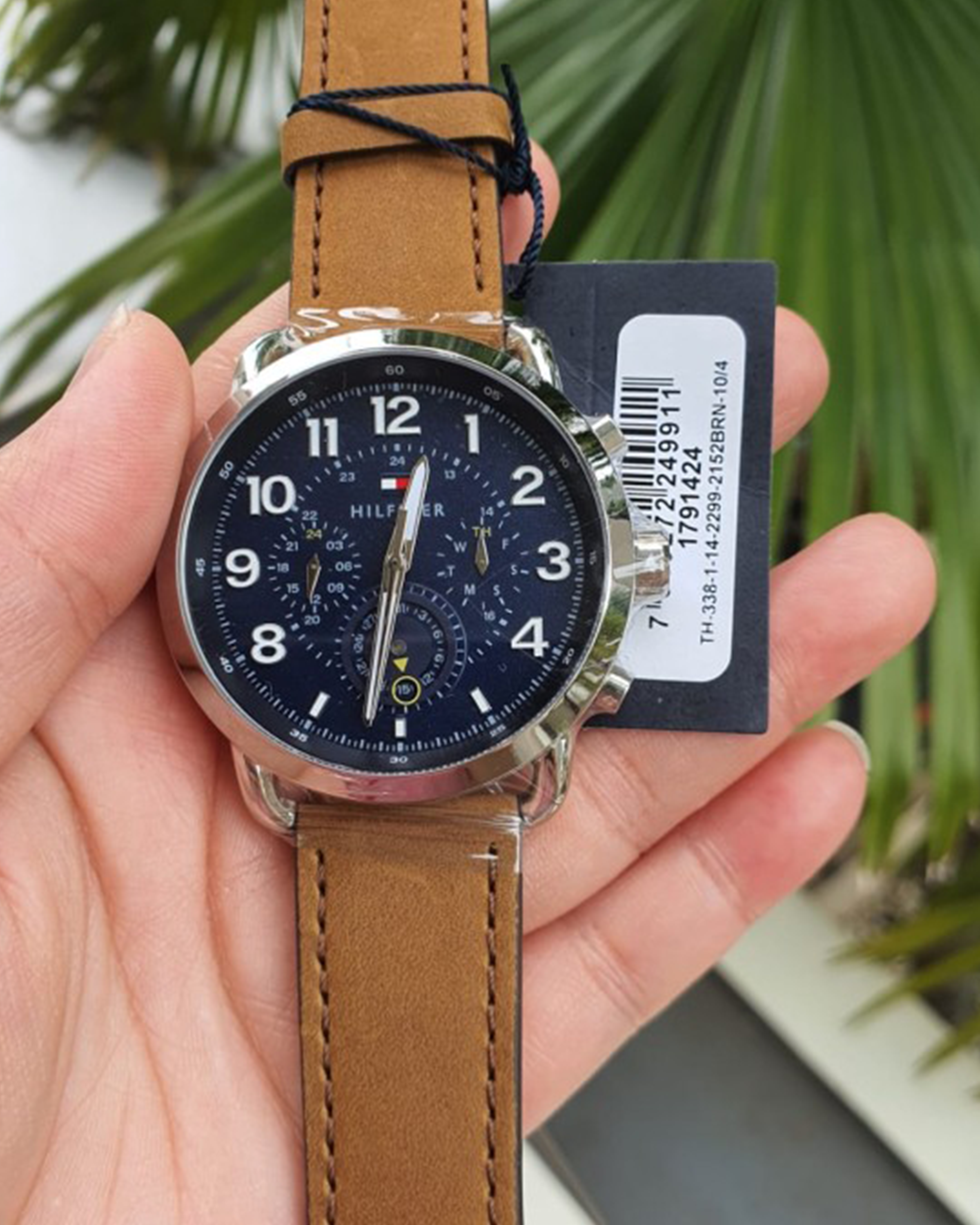 1791424 - Briggs
