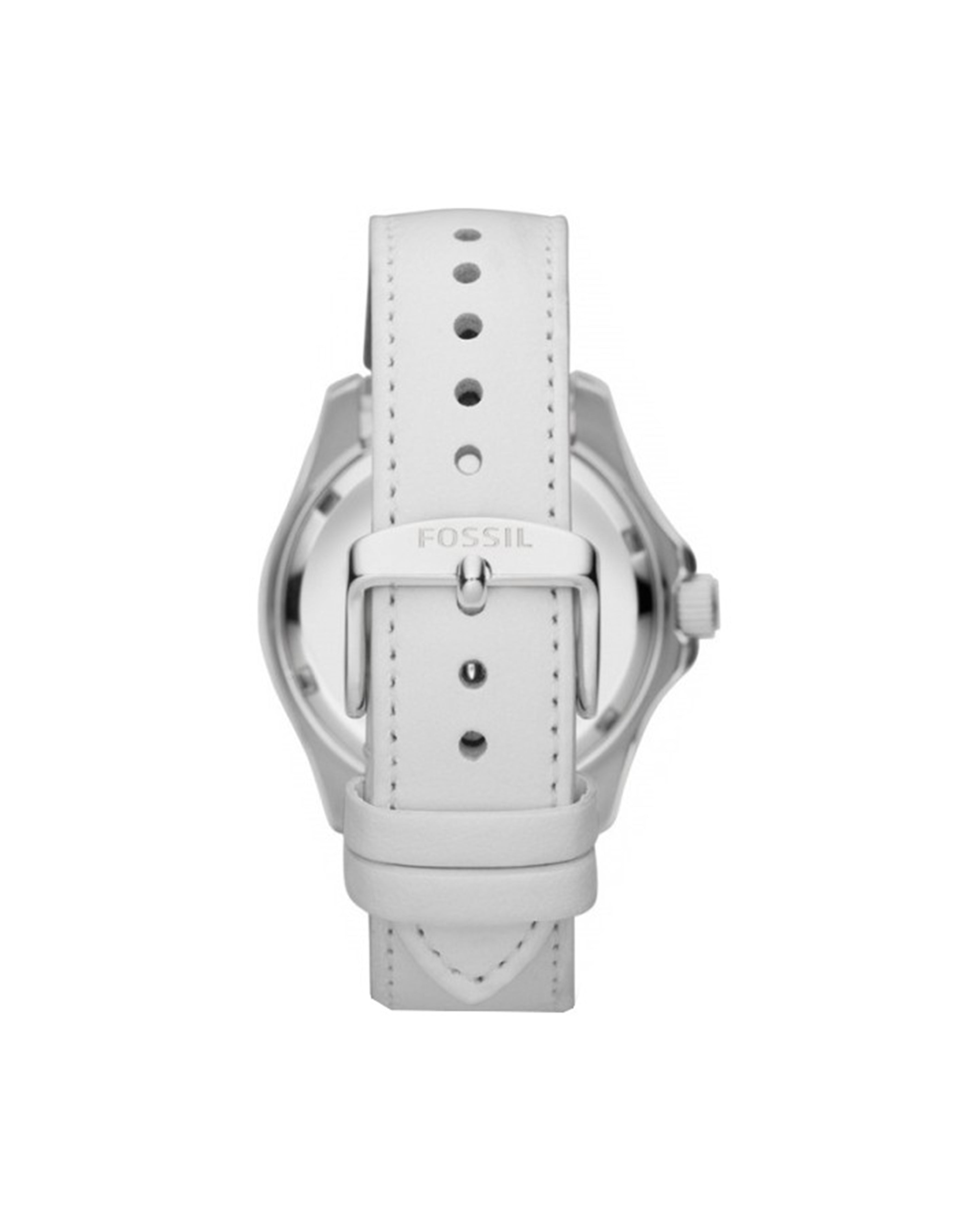 Cecile -AM4484