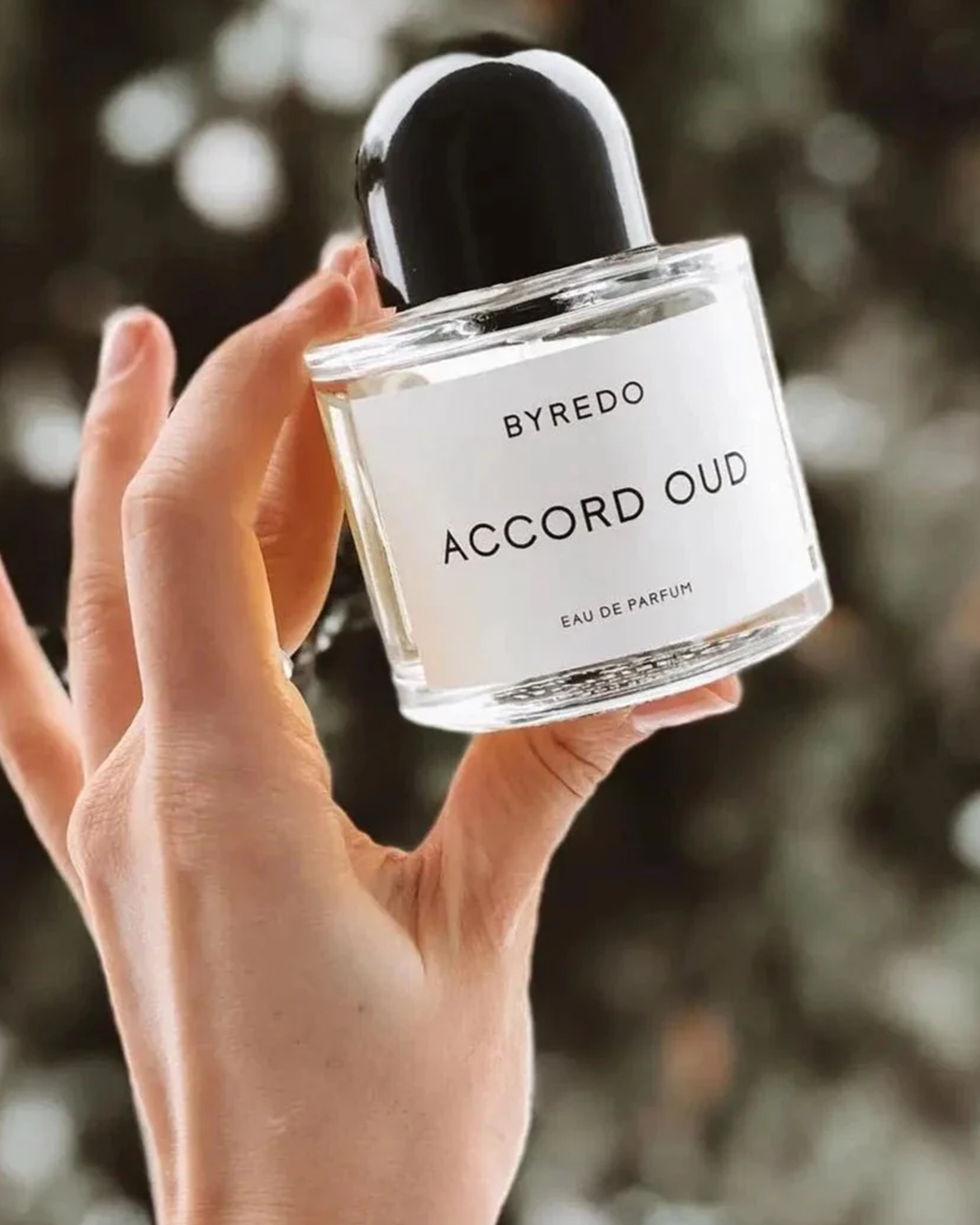 Accord Oud 50ml EDP