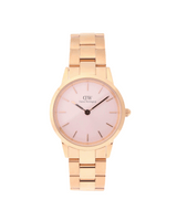 DW00100369 Iconic Analog Watch