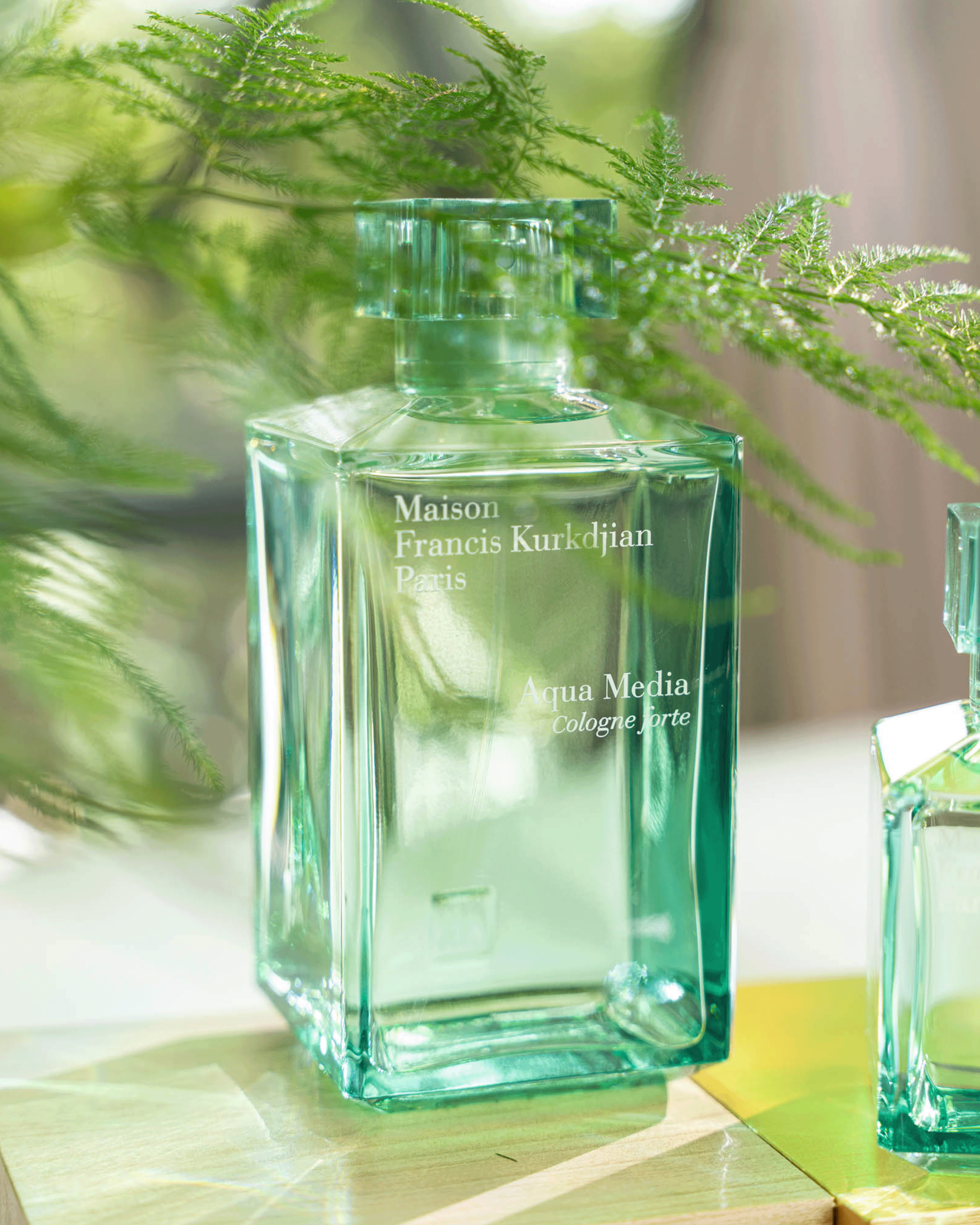 MFK - Aqua Media Cologne forte