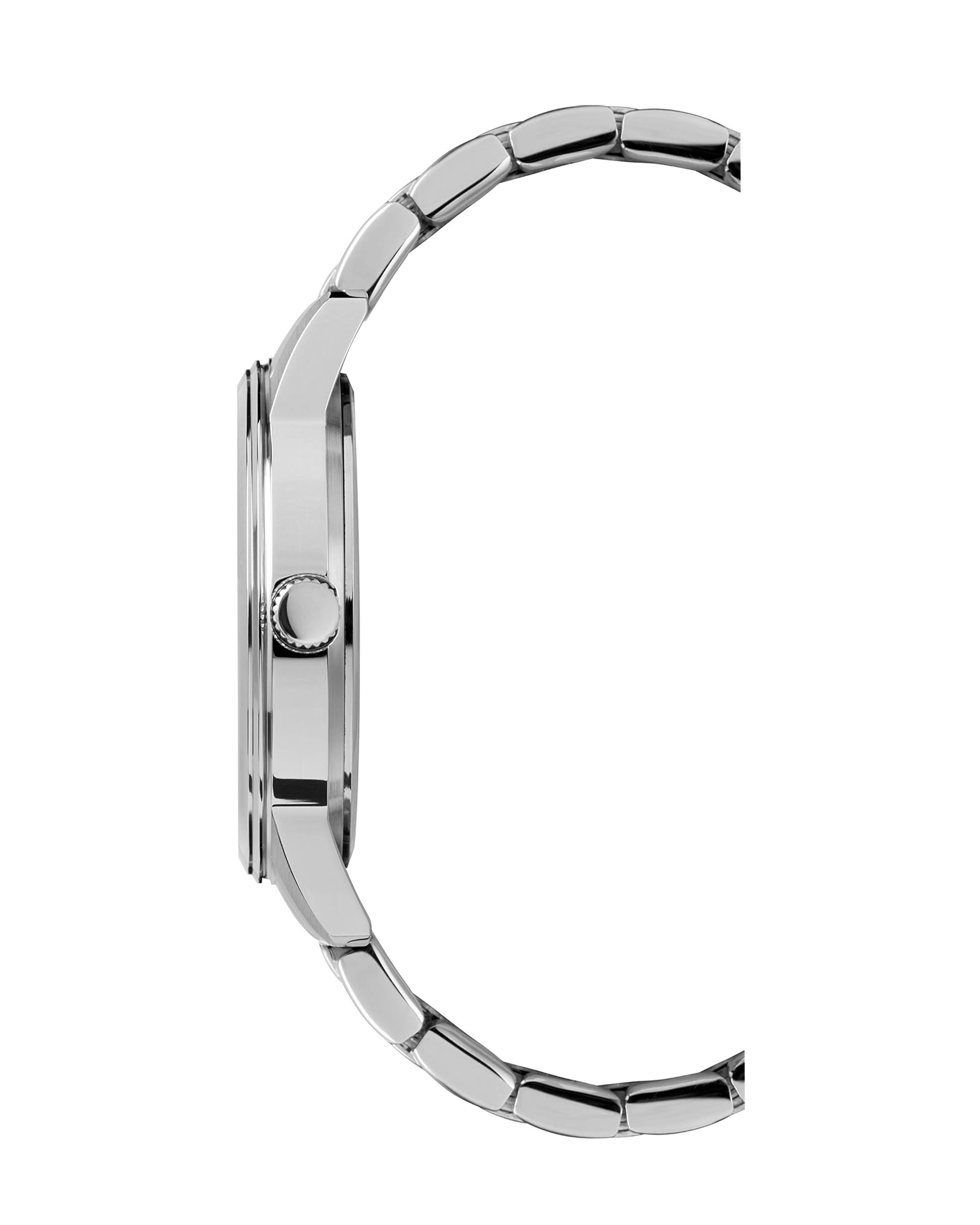 TW2T59800 Classic Premium Watch