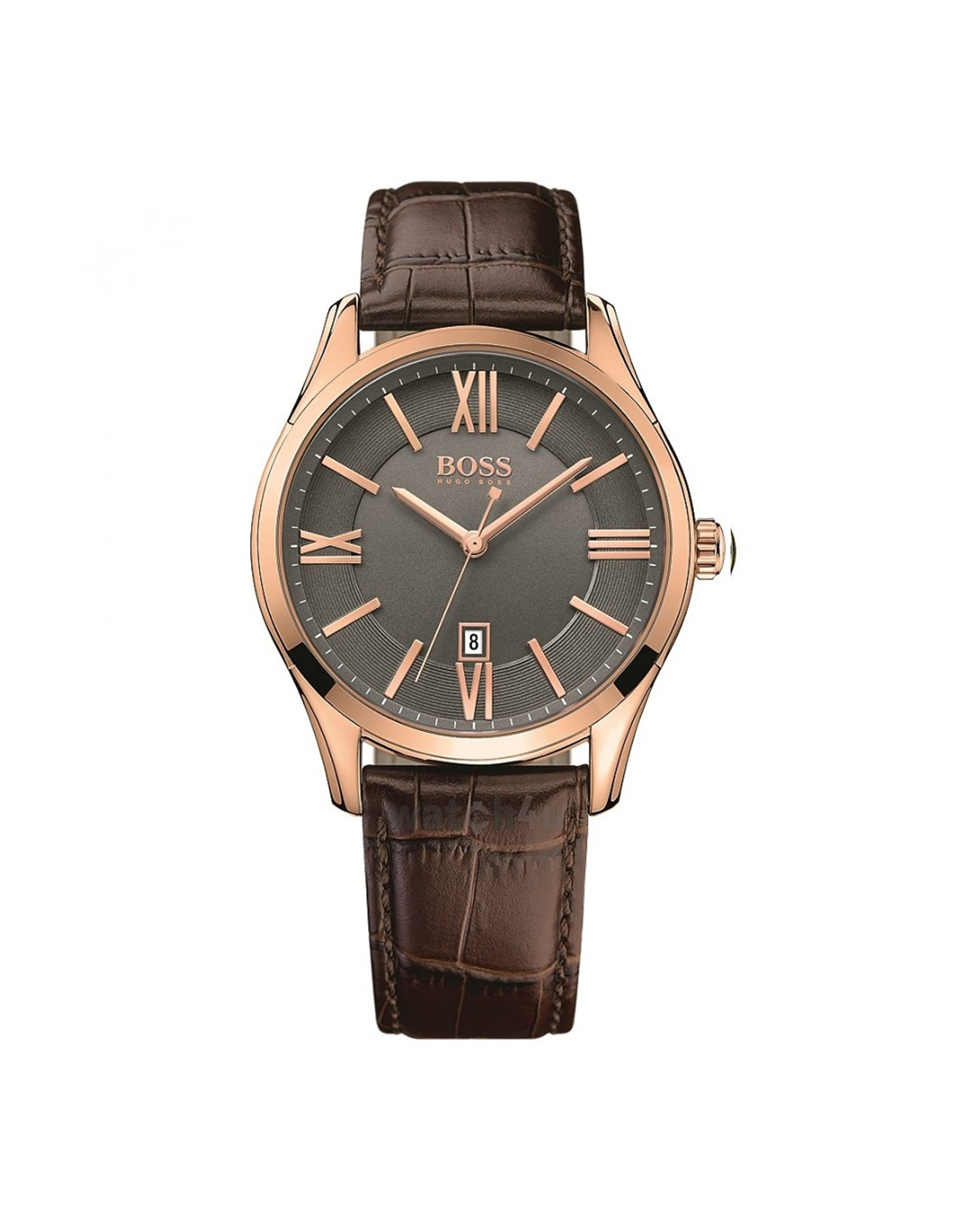 HB1513387 Ambassador Watch