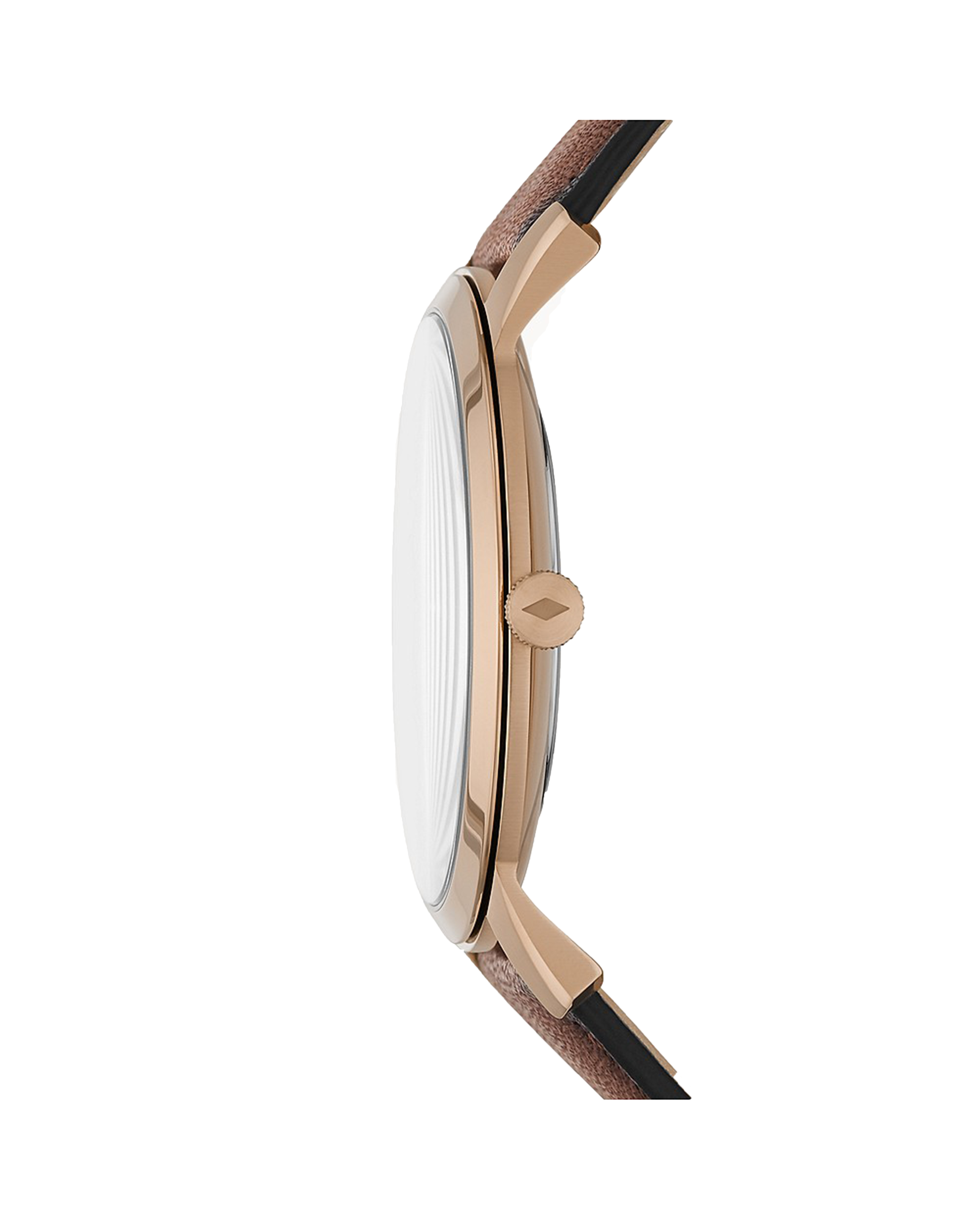 FS5871 The Minimalist Watch