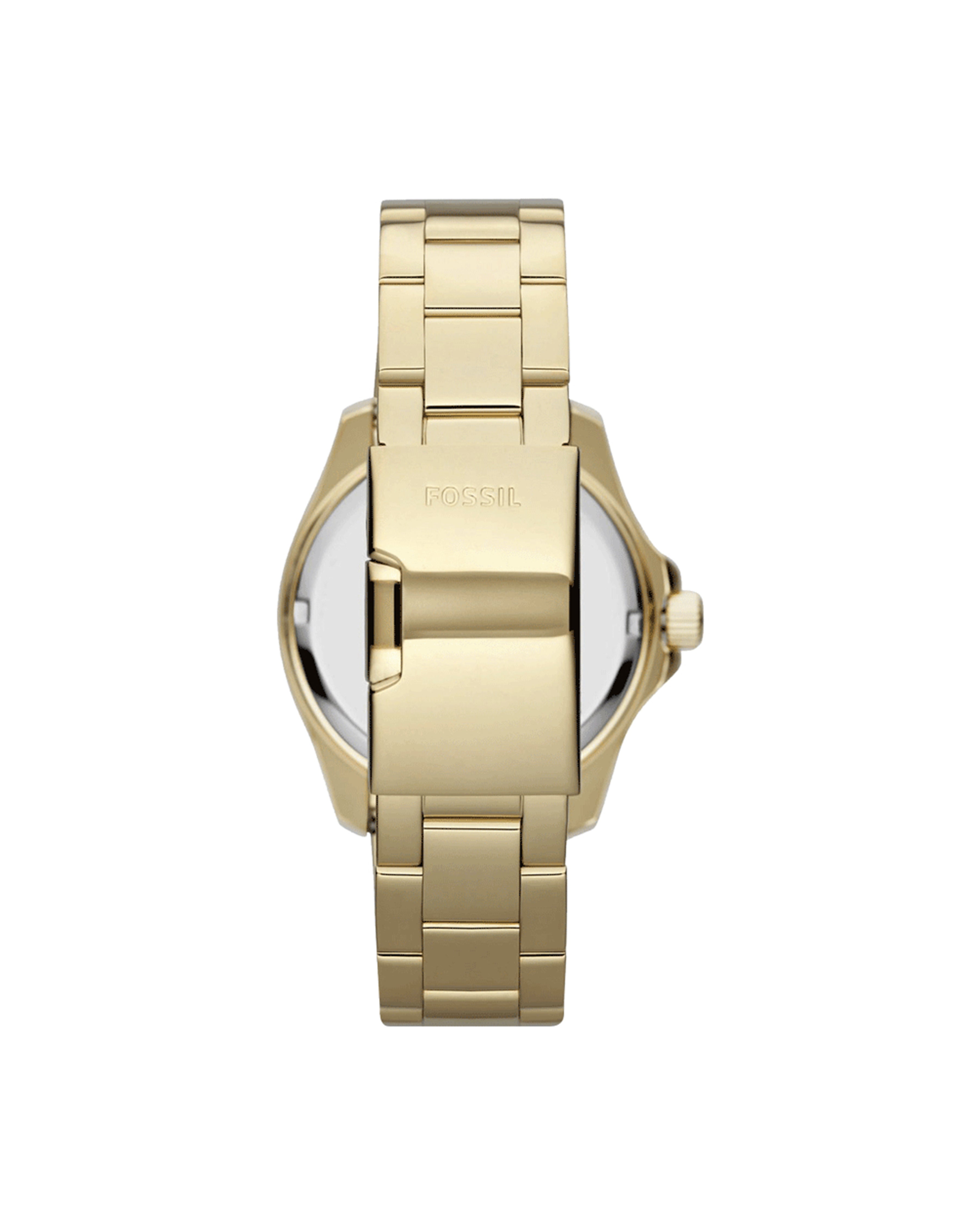 Cecile  -AM4482