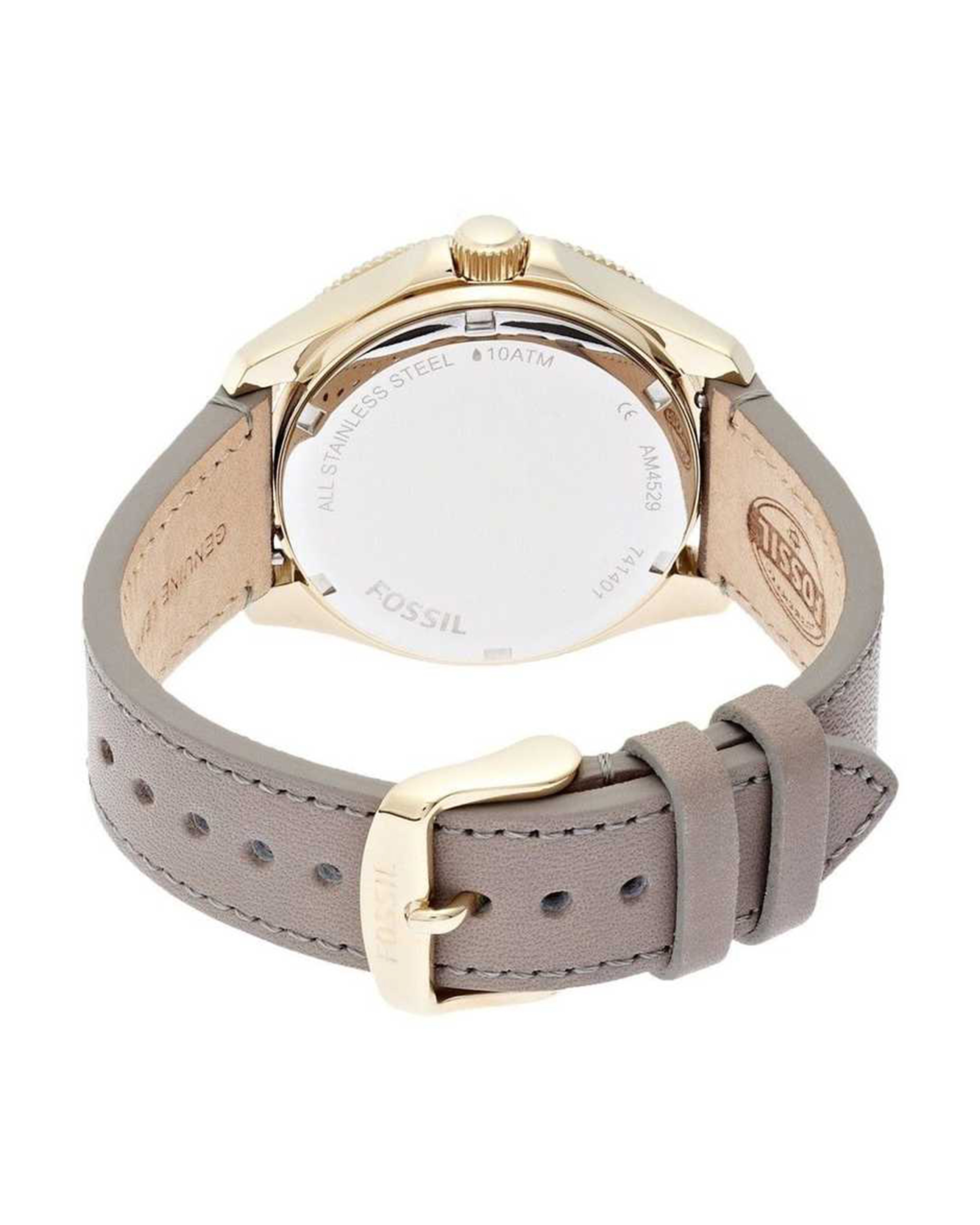 Cecile -AM4529