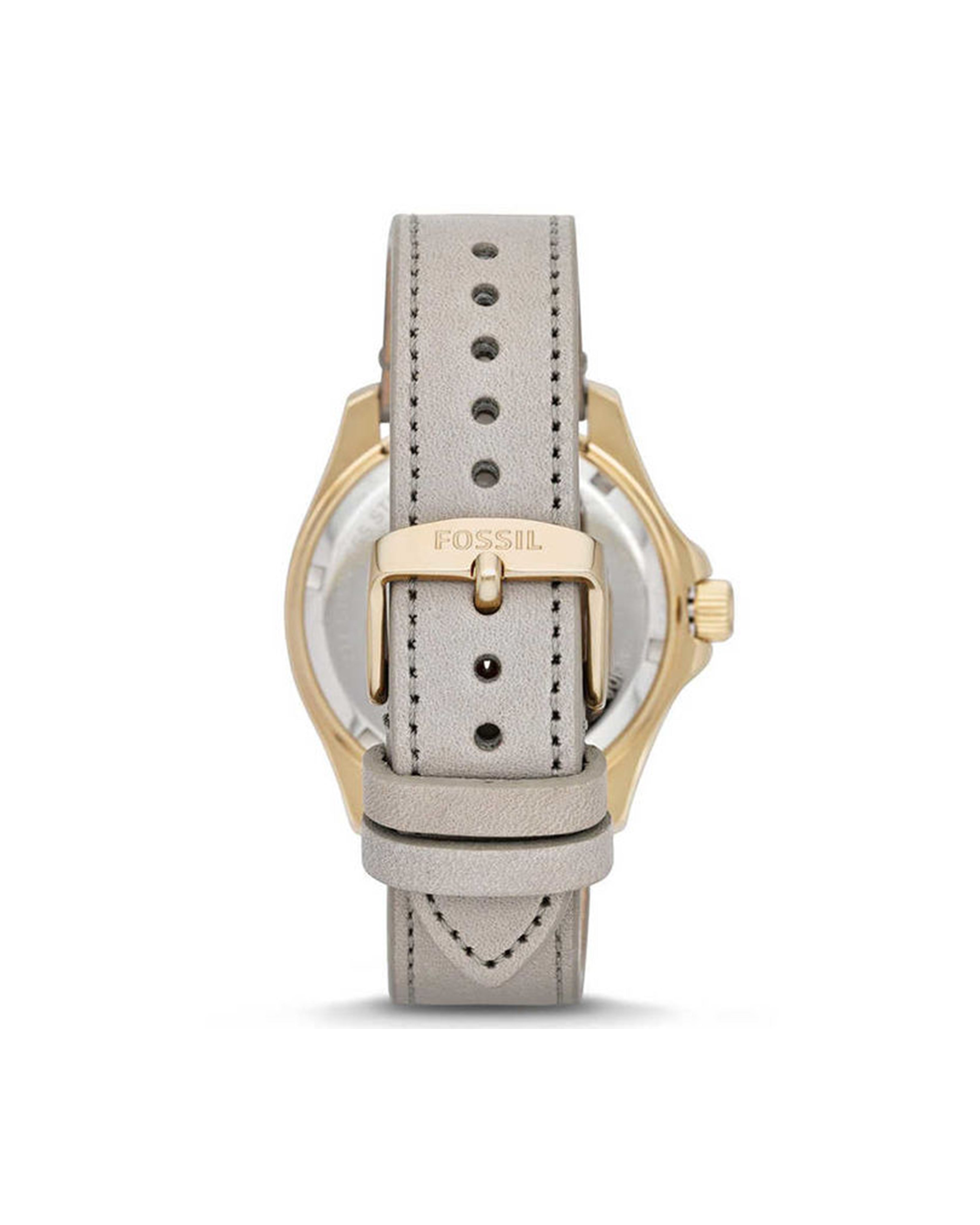Cecile -AM4529